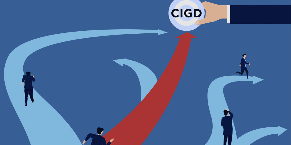 CIGD: PUBBLICATE LE LINEE GUIDA PER IL VENETO.